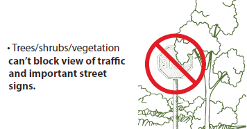 Picture showing a tree limb blocking a stop sign